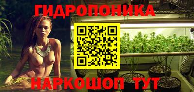 дживик Камышлов